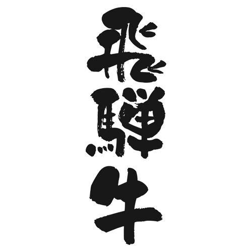 岐阜 飛騨牛ビーフカレー B