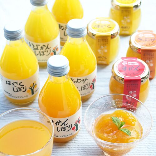 和歌山 伊藤農園 柑橘ジュース＆寒天ジュレ 詰め合わせセット