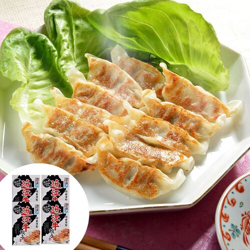 滋賀 近江牛 餃子 4箱セット (計60個)