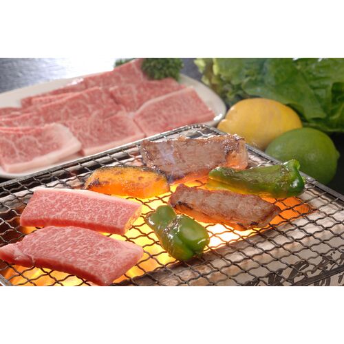 佐賀牛 肩ロース 焼肉 肩ロース480g