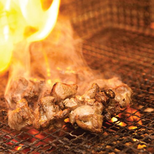 熊本 大阿蘇どり 焼肉 B