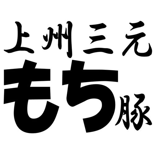 群馬 上州三元もち豚焼肉 B