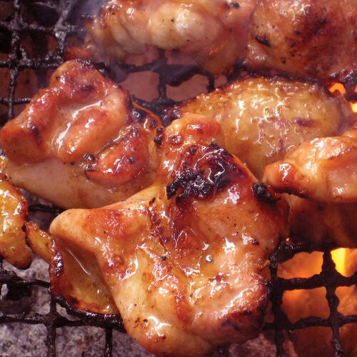 高知 四万十鶏 焼肉 B