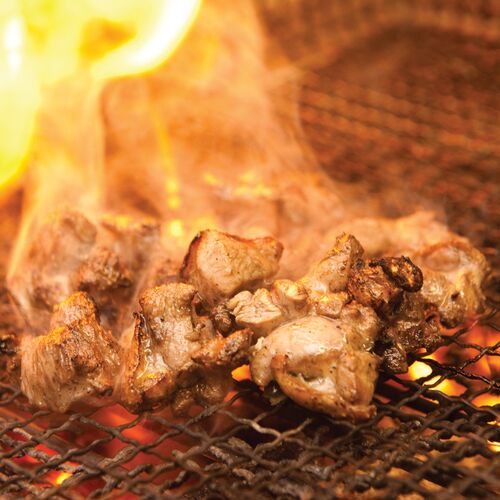 高知 四万十鶏 焼肉 B