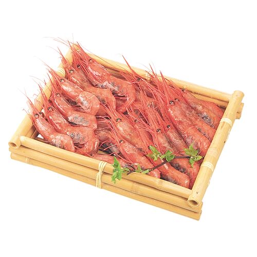 日本海甘えび 500g (23～30尾)
