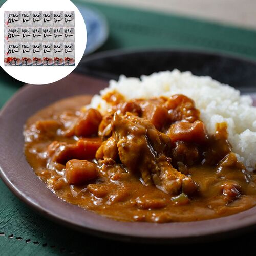 福岡 鳥ZEN亭 手羽元カレー 18食 200g (中辛)