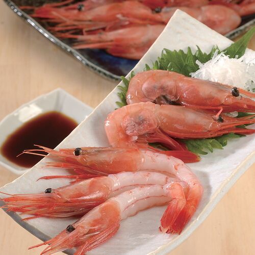 日本海 甘エビ 500g(45～50尾)