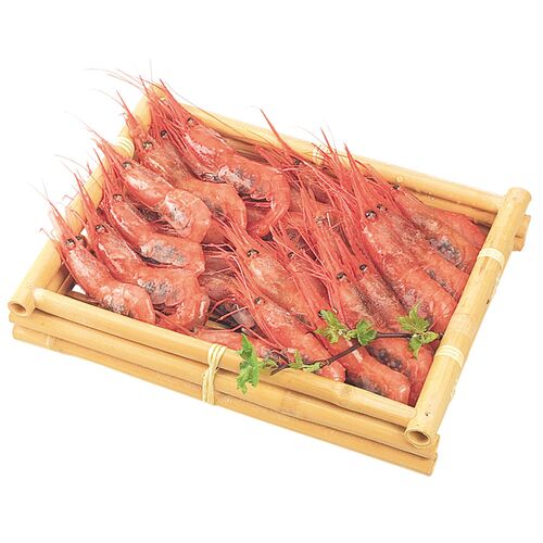 日本海 甘エビ 500g(45～50尾)