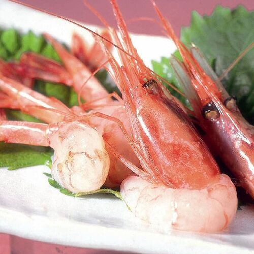 日本海 甘エビ 2箱 (1箱/500g(45～50尾))