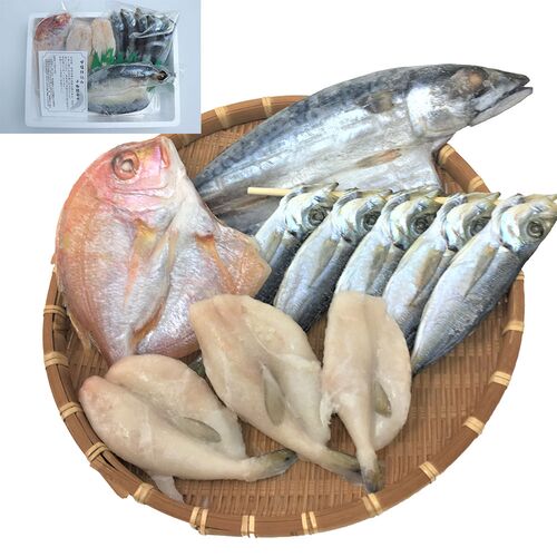 大分 「豊後絆屋」 甘塩仕込み一夜干し詰合せ B