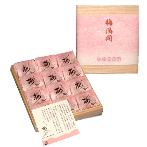 和歌山 紀州南高梅 梅満開 うす塩味 (塩分約6%) 240g