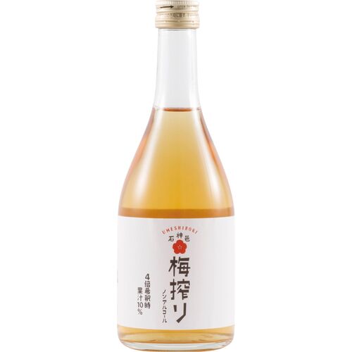 和歌山 梅搾り (4倍希釈) 2本セット 490ml×2 化粧箱入り