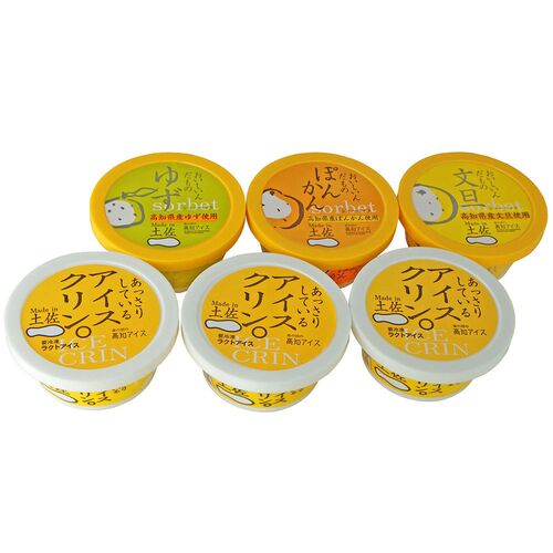 高知 Made in 土佐「南の国の高知アイス」高知アイスセット 115ml×6個