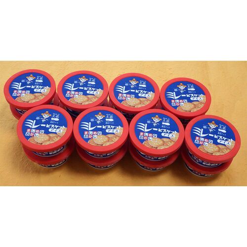 高知 ミレービスケットアイス 100ml×16個