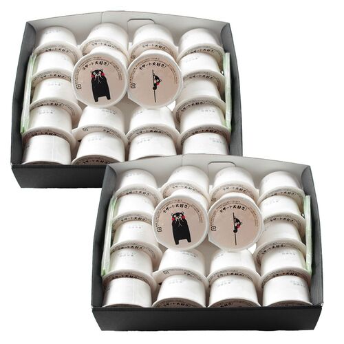 熊本 デザート大好きくまモンの牛乳プリン (53g×20個)×2箱