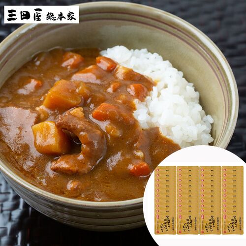 三田屋総本家　黒毛和牛の欧風ちょこっとビーフカレー中辛（40食）