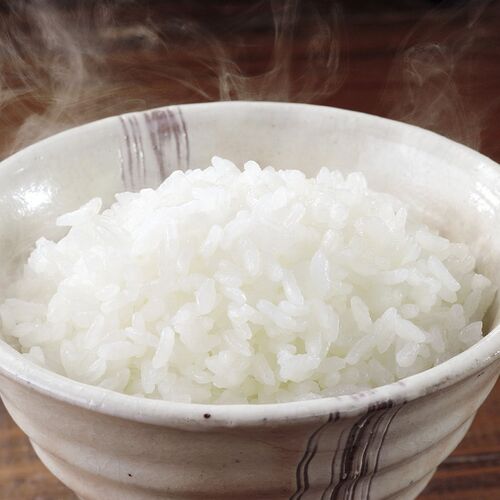静岡県産 こしひかり 5kg 