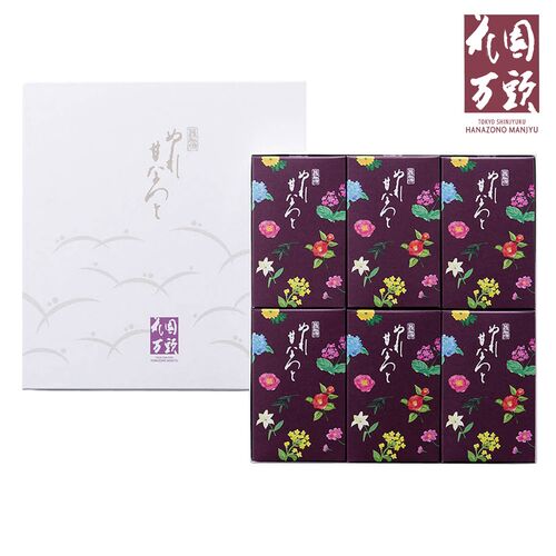 東京・新宿「花園万頭」ぬれ甘なつと 小箱6個入