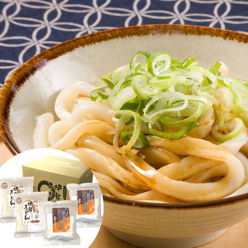 三重 伊勢うどん・カレーうどん 詰め合わせ (2人前入り)×4袋
