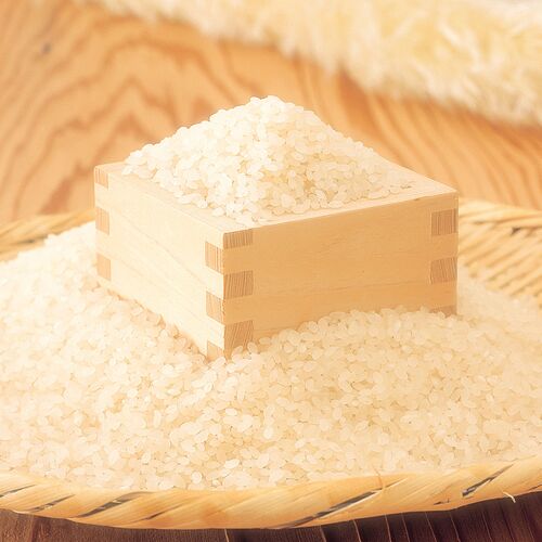 山形産 はえぬき 5kg×3