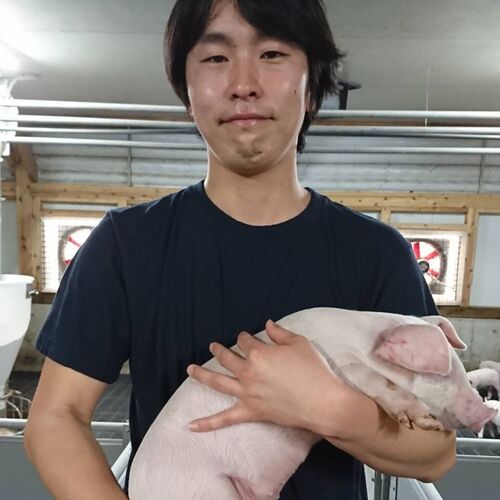 千葉県産 バナナパインポーク ロースしゃぶしゃぶ（500g）