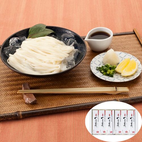 手延べのどごしうどん 「つる美」