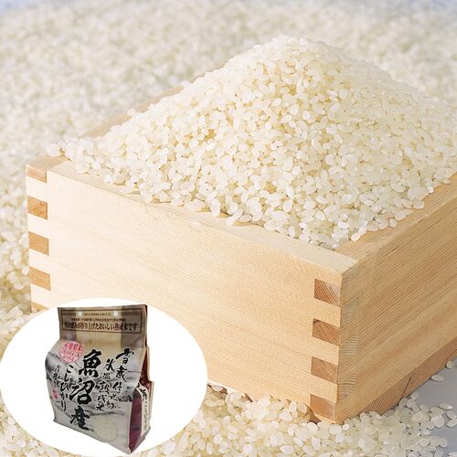雪蔵仕込み氷温熟成 魚沼産こしひかり特別栽培米