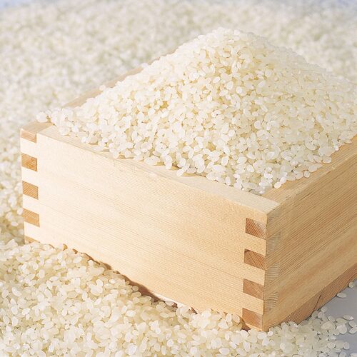 雪蔵仕込み氷温熟成 魚沼産こしひかり特別栽培米