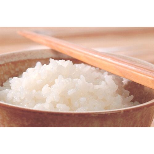 雪蔵仕込み氷温熟成 魚沼産こしひかり特別栽培米