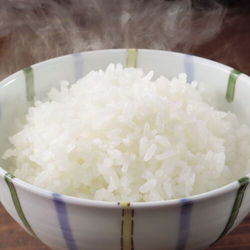 新潟 越後雪室屋 氷温熟成新潟こしひかり パックごはん