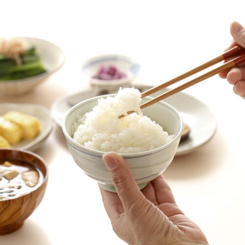 新潟 雪蔵氷温熟成 南魚沼産こしひかりパックごはん