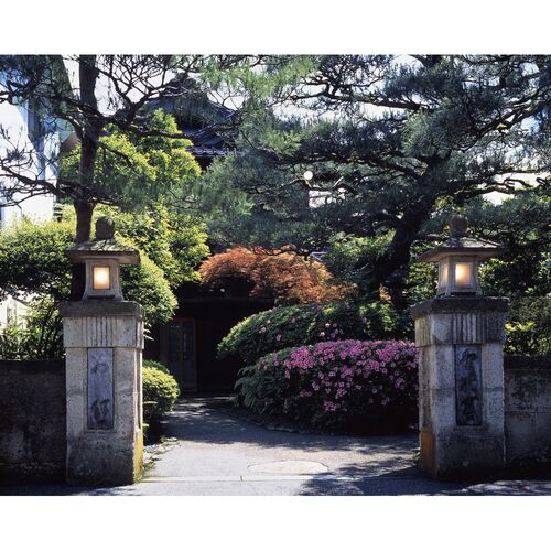 スプリングセール 石川 「金沢料亭金茶寮」 冷凍茶碗蒸しの素（18袋)